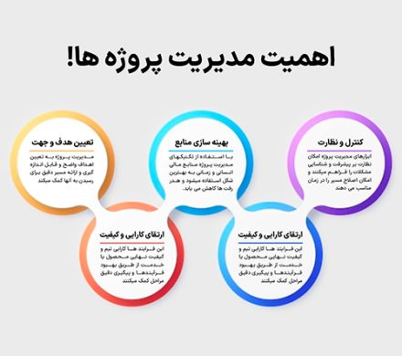 اینفوگرافی اهمیت مدیریت پروژه ها
